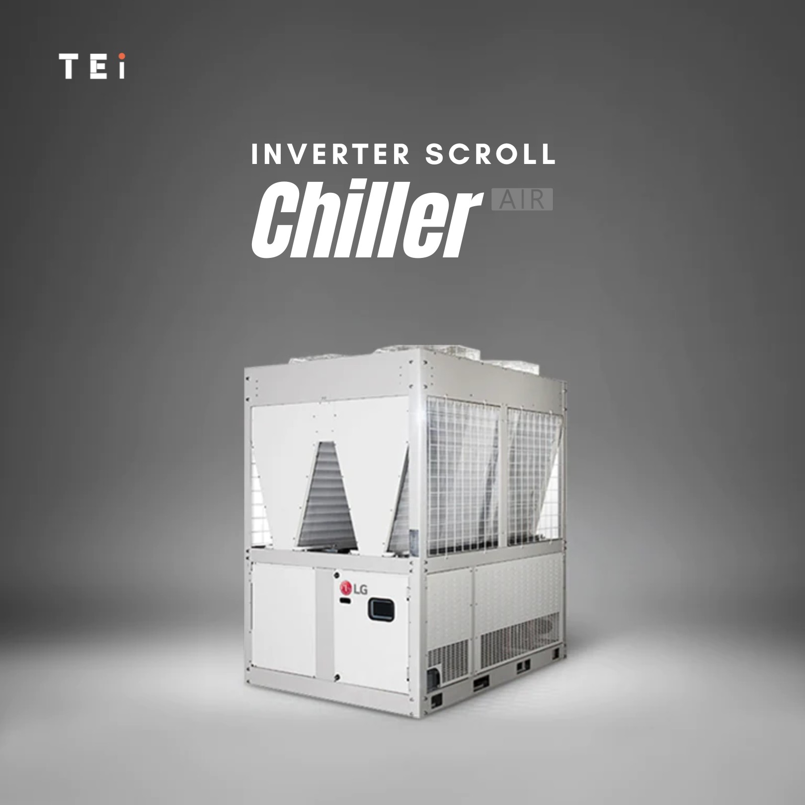 Hola compradores (20)